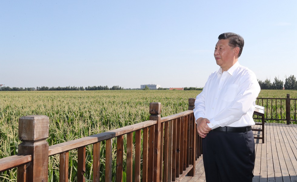 22�գ�����ƽ����ӛ������ƽ�����h���Ұ��f���GɫʳƷԭ�ϣ����ף��˜ʻ����a���غ���ʾ���^