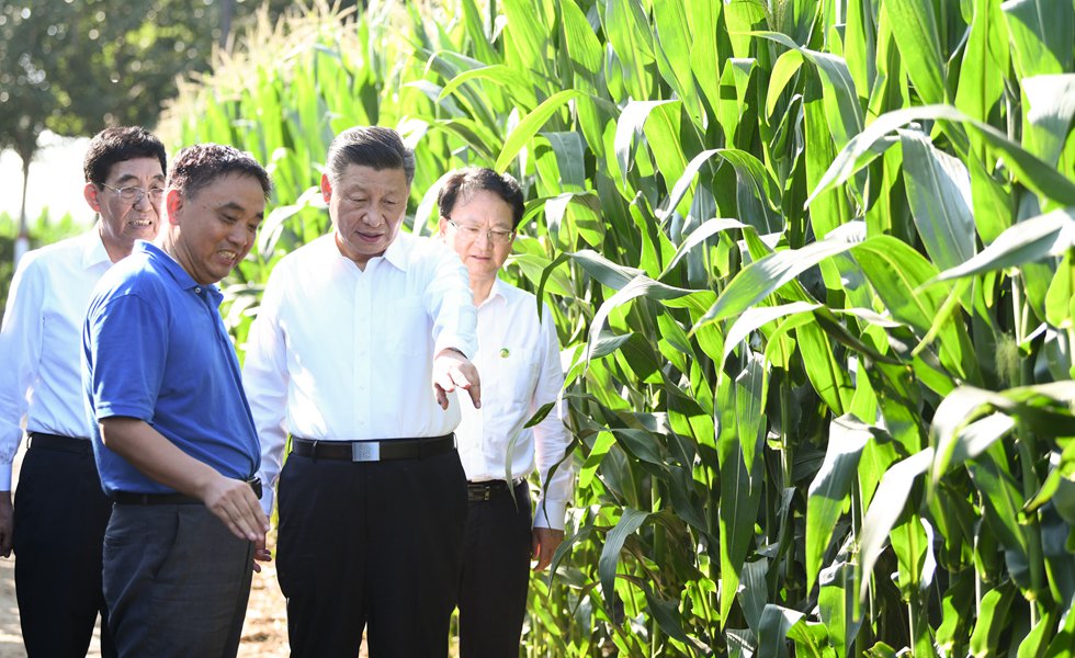 22�գ�����ƽ����ӛ������ƽ�����h���Ұ��f���GɫʳƷԭ�ϣ����ף��˜ʻ����a���غ���ʾ���^