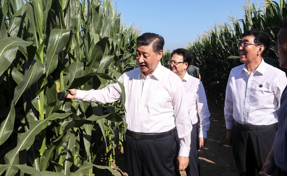 ����ƽ����ӛ������ƽ�����h���Ұ��f���GɫʳƷԭ�ϣ����ף��˜ʻ����a���غ���ʾ���^