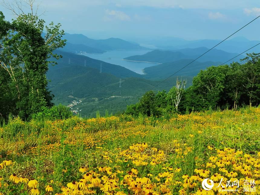 ɽ픻����g�h������ɫ���ˣ�����W�����S �z��