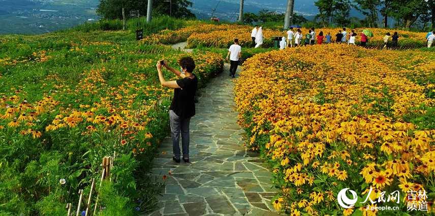 �ο��v�㻨���g�����������W�����S �z��