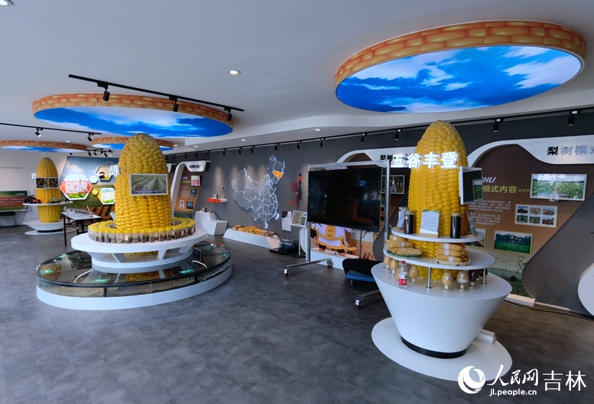 四平市優質玉米產品展廳。人民網 李洋攝
