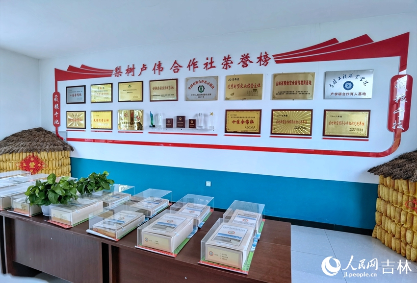 梨樹縣盧偉農機農民專業合作社。人民網 李洋攝