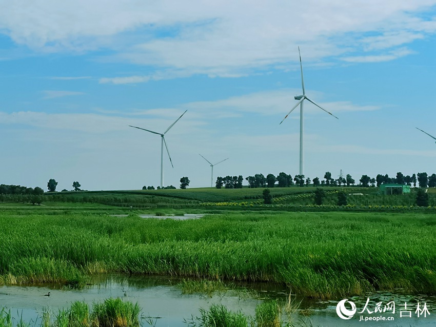 風力發電機猶如“大風車”般不停轉動。人民網 王海躍攝