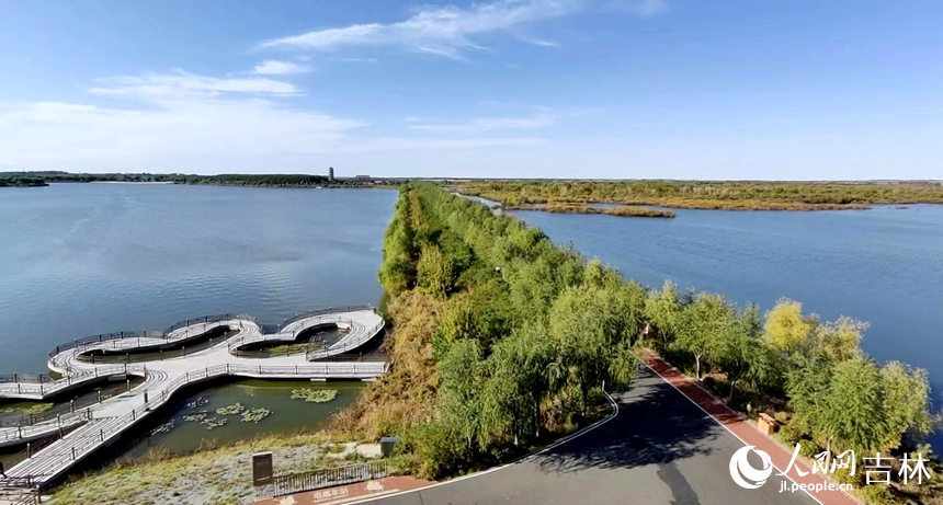 江上小路綠樹成蔭。人民網 石天蛟攝