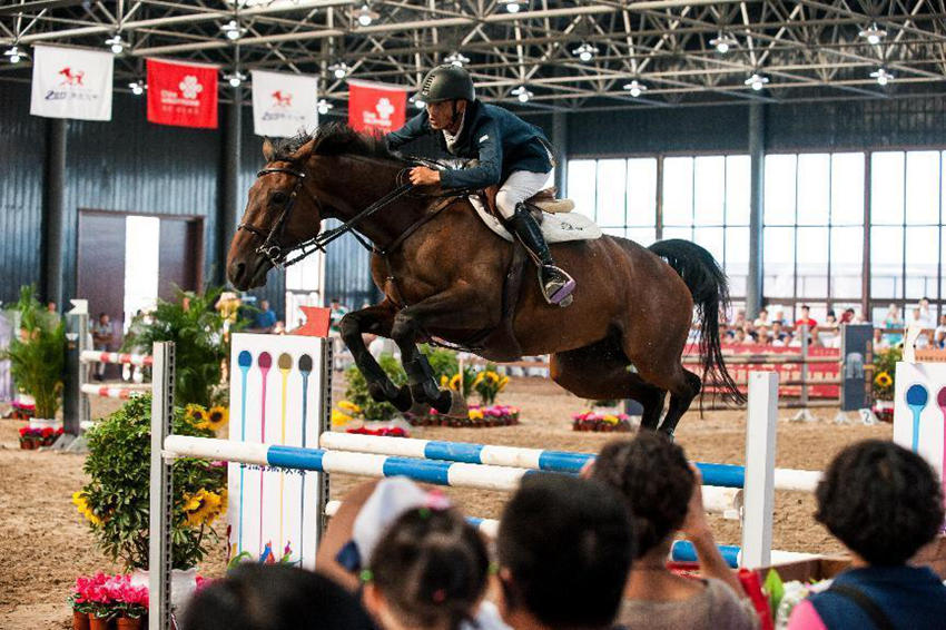 全國馬術場地障礙賽。