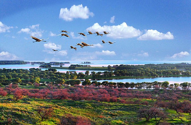 向海國家級自然保護區