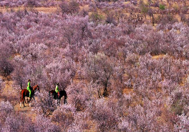 包拉溫都自然保護區