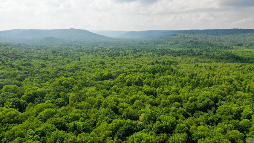 資料圖片。(趙冷冰 攝)