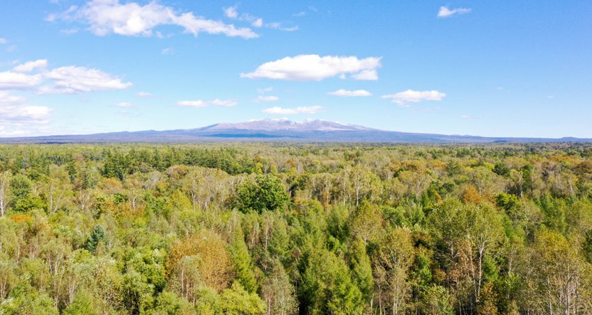 資料圖片。(趙冷冰 攝)