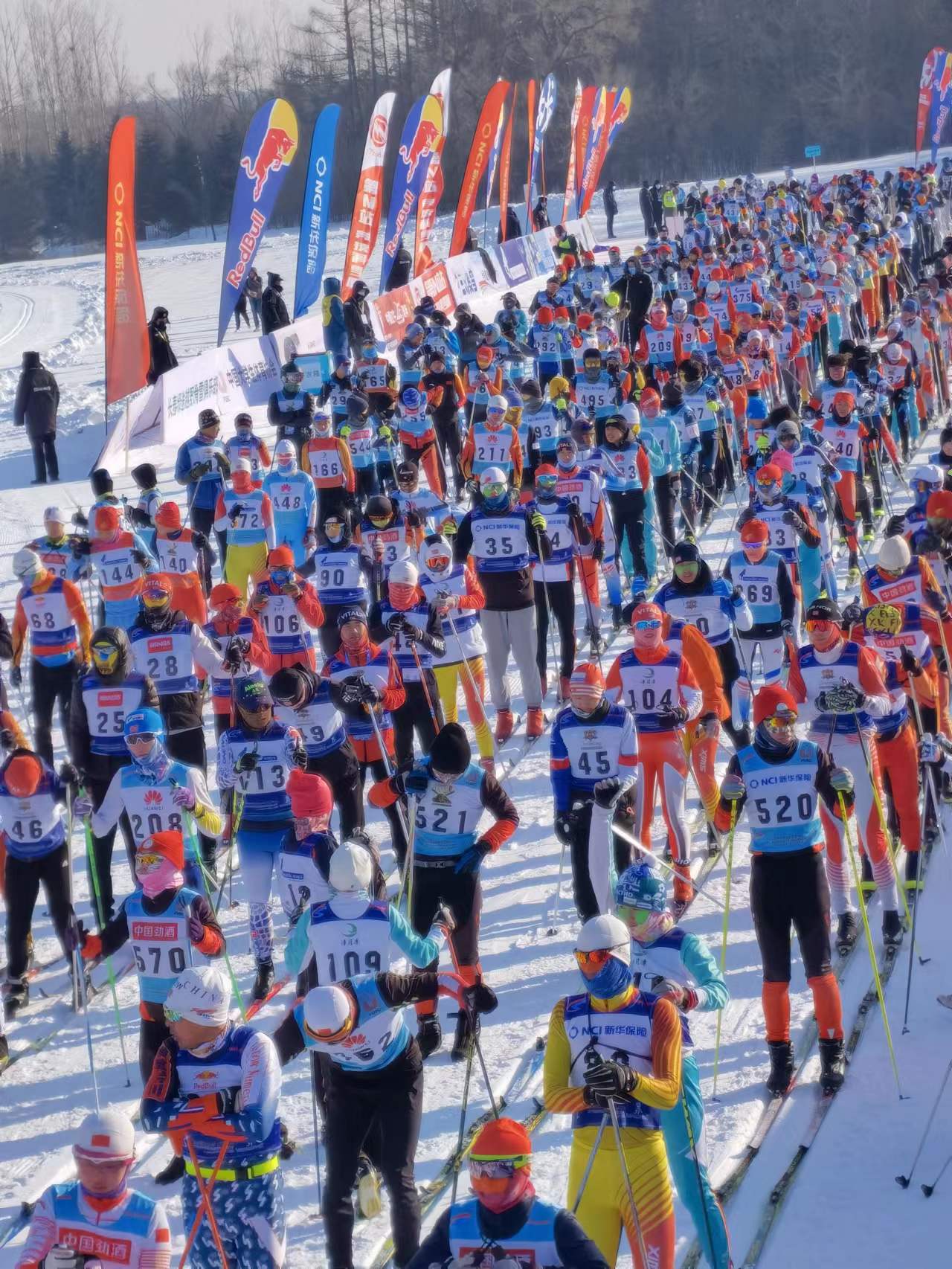 瓦薩國際滑雪節。人民網李洋 攝