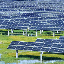 白城：風勁好揚帆，奮進正當時！