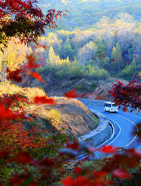 吉視線|敦化：跨越領跑 奮力譜寫高質量發展嶄新篇章