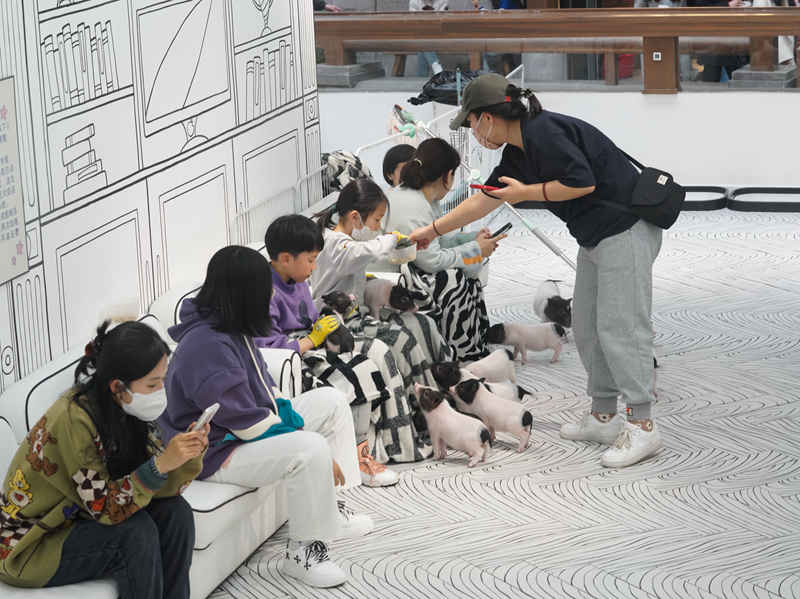 游客解鎖新奇的萌寵體驗。人民網李洋攝