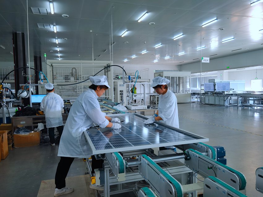 松原市新能光伏科技有限公司光伏組件生產(chǎn)線。(受訪者供圖)