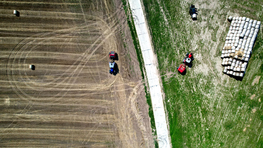 風吹麥浪起 吉林洮南萬畝小冰麥喜獲豐收(白城市委宣傳部供圖)