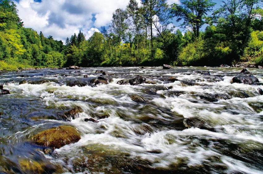 清爽吉林,22℃的夏天。(資料圖片 吉林省文化和旅游廳供圖)