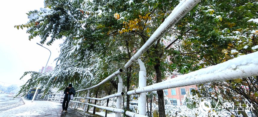 “邂逅”初雪 吉林省長春市今冬第一場雪如約而至【7】
