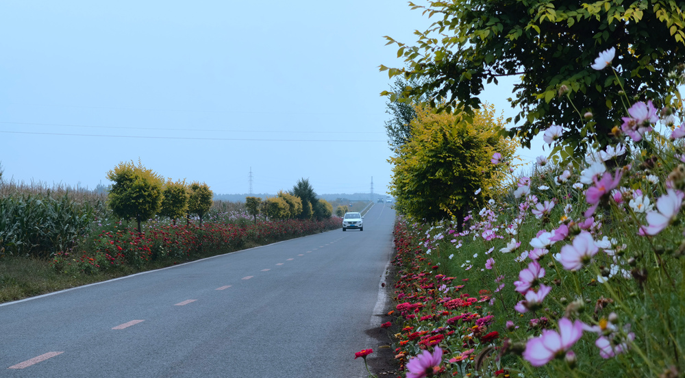 美麗農(nóng)村公路