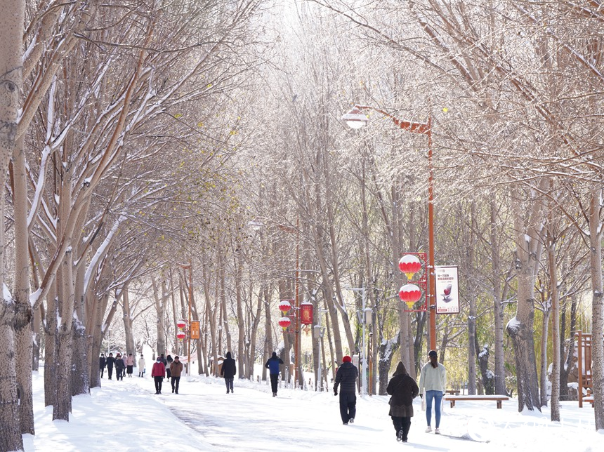 大雪過后，人們紛紛走出家門欣賞美景。人民網記者 李洋攝