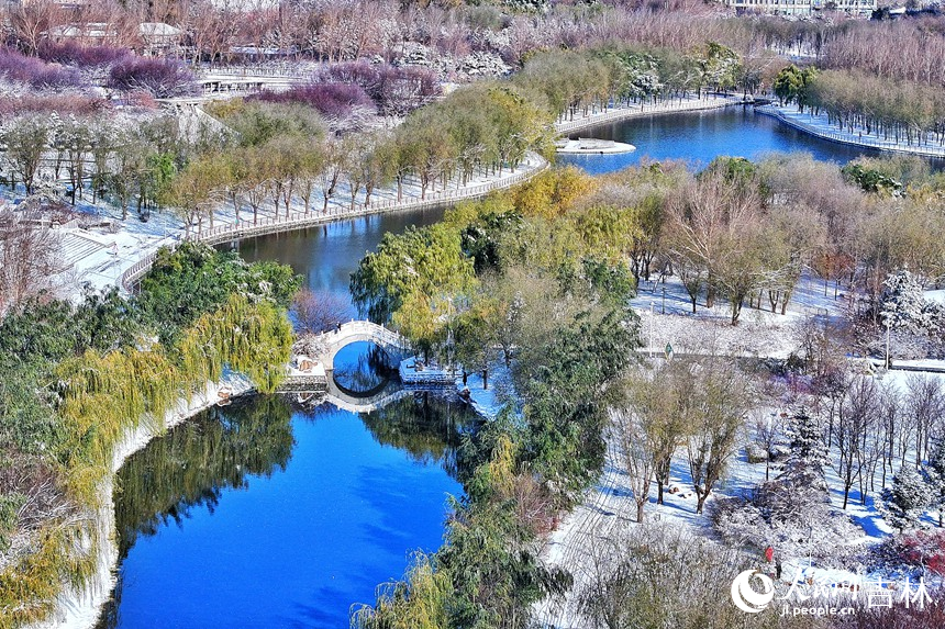 雪后長春，美景如畫。人民網(wǎng)記者 李洋攝