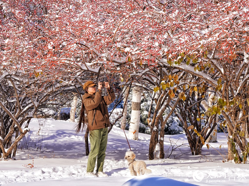 大雪過后，人們紛紛走出家門，用相機(jī)記錄下這難得的美景。人民網(wǎng)記者 李洋攝