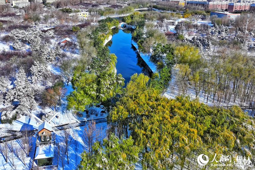 雪后長春，美景如畫。人民網(wǎng)記者 李成偉攝