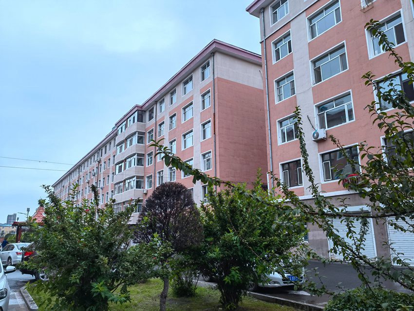 和平小區(qū)綠化全民提升。人民網(wǎng)記者 馬俊華攝