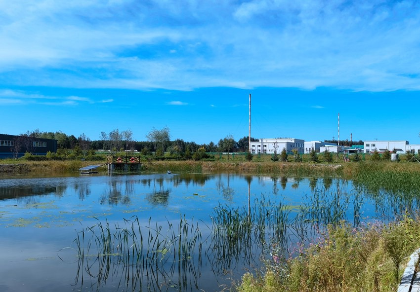 河流水環(huán)境治理見成效。人民網(wǎng)記者 馬俊華攝