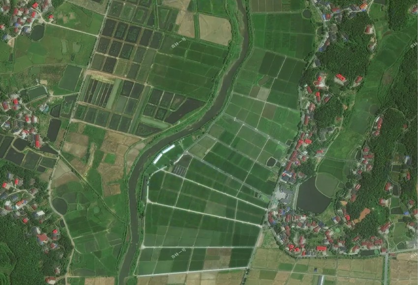 衛(wèi)星影像截圖。