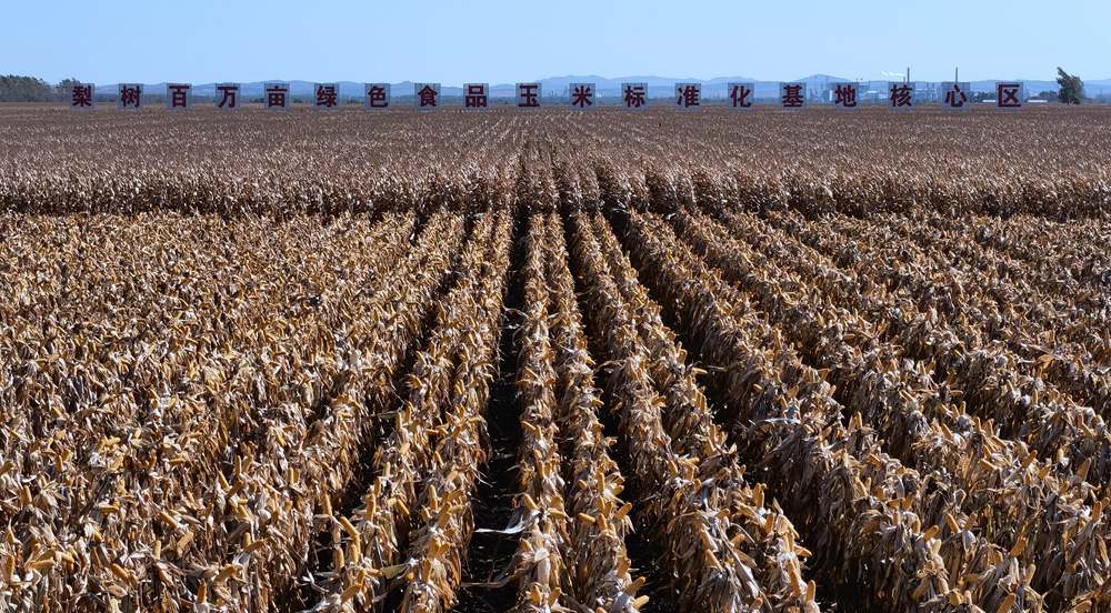 梨樹縣:奮力推進“梨樹模式”提檔升級
近年來,梨樹縣努力出經驗、 蹚路子、走在前、做表率,保護性耕作“梨樹模式”在全縣不斷完善,在促進黑土地農業可持續發展上顯示了巨大的潛力。