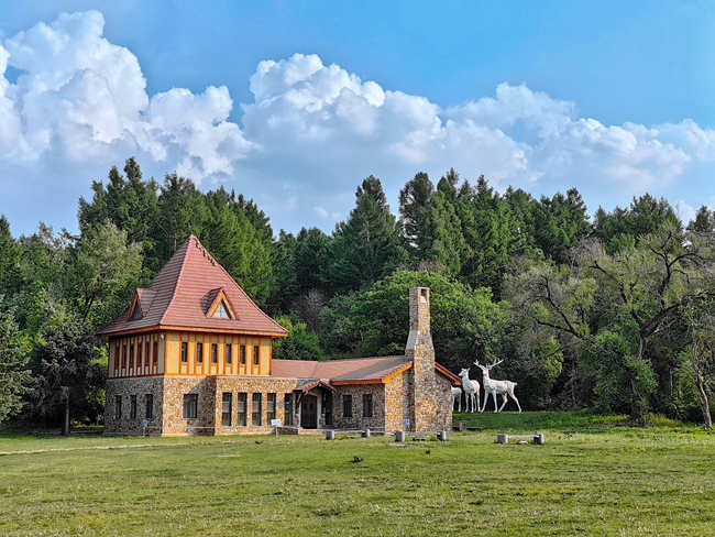 長春凈月潭國家森林公園。人民網記者 李洋攝