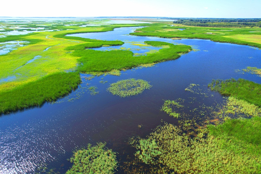 莫莫格濕地水草豐美。潘晟昱攝（資料圖片）