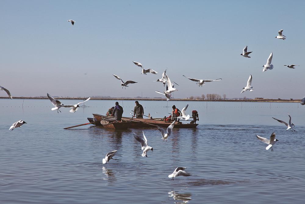 北方漁島哈爾淖漁業生產既是綠色經濟也是旅游資源。潘晟昱攝