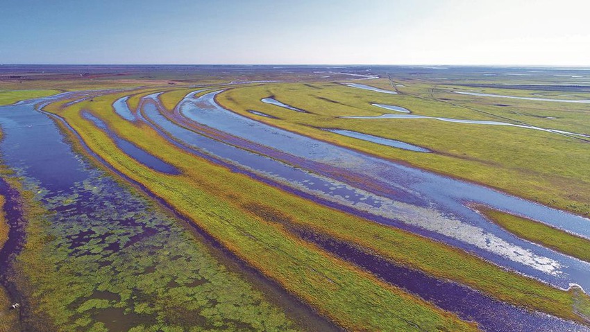 在嫩江鎮賚段的111.5公里中，眾多支流疏導江水，滋養生靈，形成了一道道美麗的風景。潘晟昱攝