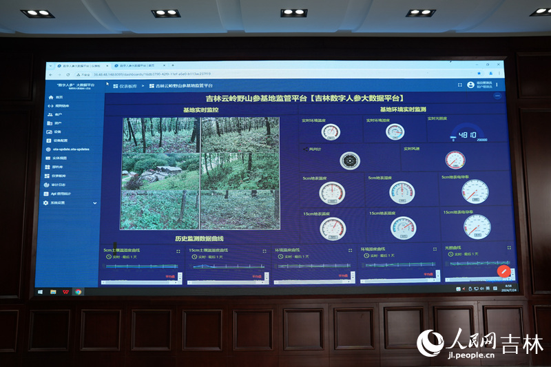 在吉林通化的云嶺野山參基地的數(shù)字人參大數(shù)據(jù)平臺(tái)上,光照度、地表濕度、風(fēng)速等數(shù)據(jù)被實(shí)時(shí)記錄,以檢測人參生長狀態(tài)。人民網(wǎng)記者 李洋攝