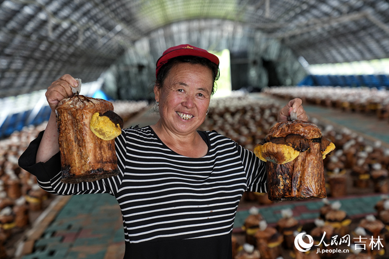 近年來,和龍市桑黃產(chǎn)業(yè)在農(nóng)民增收、就業(yè)帶動(dòng)、經(jīng)營模式等方面產(chǎn)生了良好的社會(huì)效益和經(jīng)濟(jì)效益。人民網(wǎng)記者 李洋攝