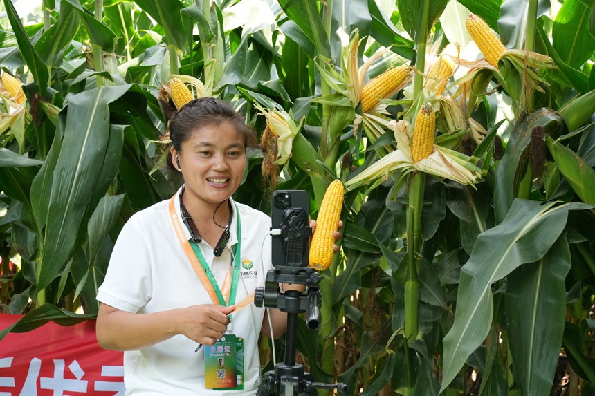 農技人員在長春農博會推介玉米抗倒伏品種。人民網記者 李洋攝
