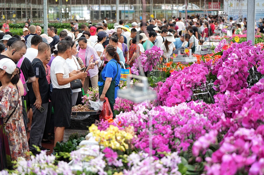游客在長春農博會鮮切花展示區(qū)購物。人民網記者 李洋攝