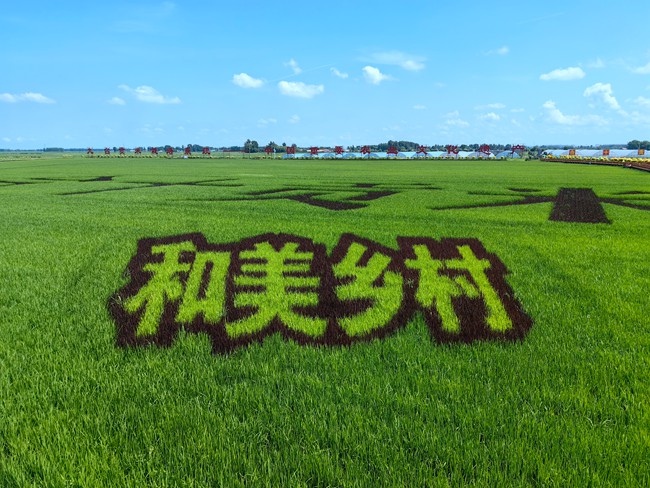 九臺區紅光村。人民網記者 李洋攝