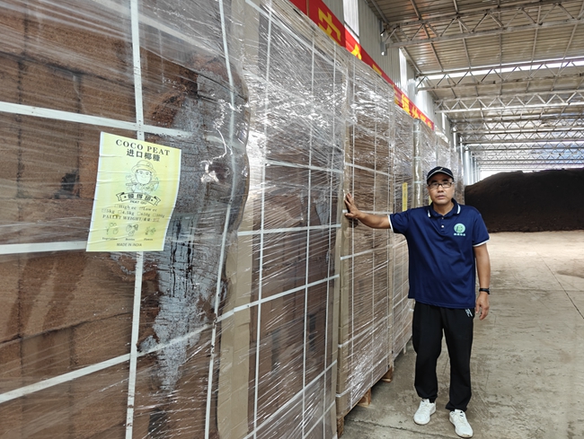 進口的生產原料椰糠。