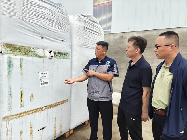 進口的生產原料椰糠。