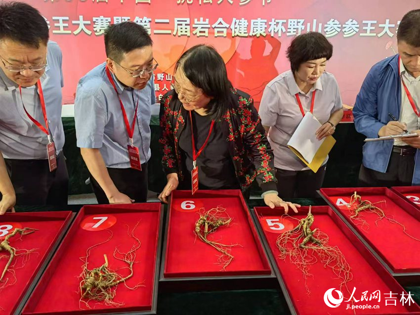 專家評委們討論。人民網記者 馬俊華攝