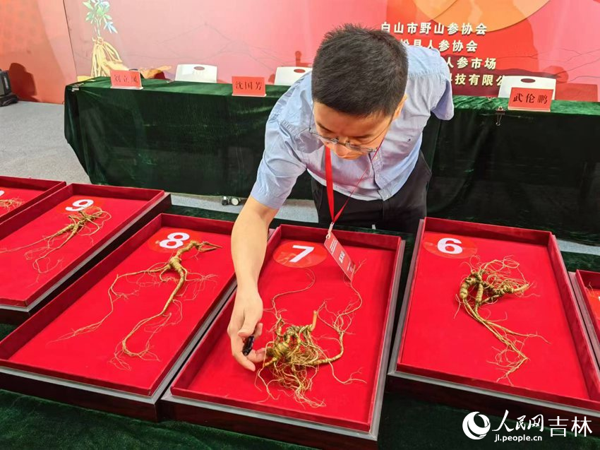 專家評委細致觀察。人民網記者 馬俊華攝