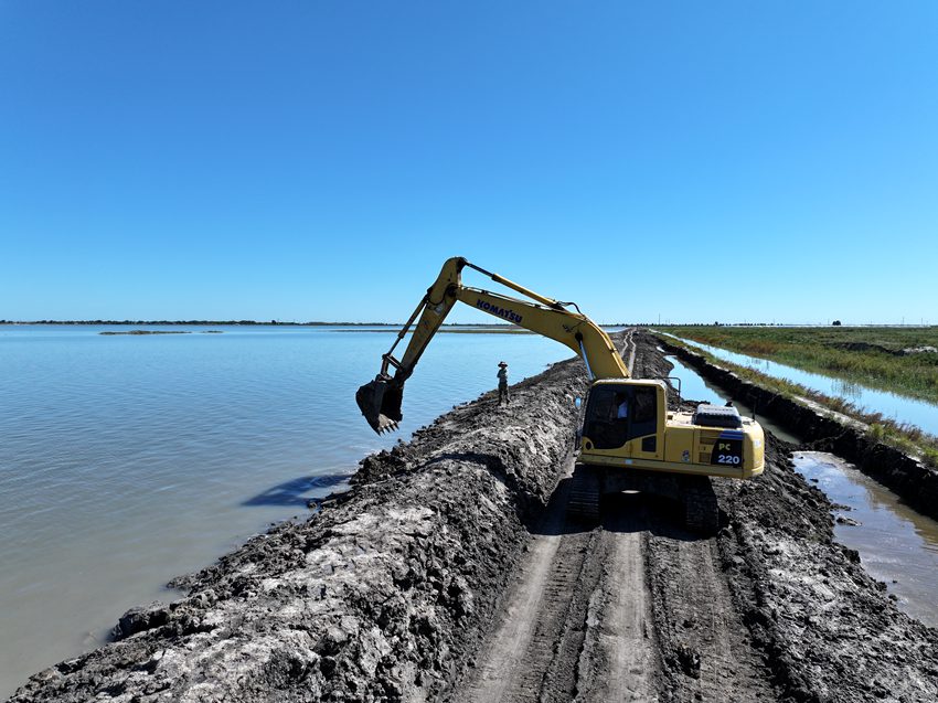 建平鄉在二龍濤河國堤做防護施工。潘晟昱 攝