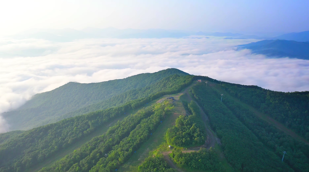 清爽通化,與你相約
