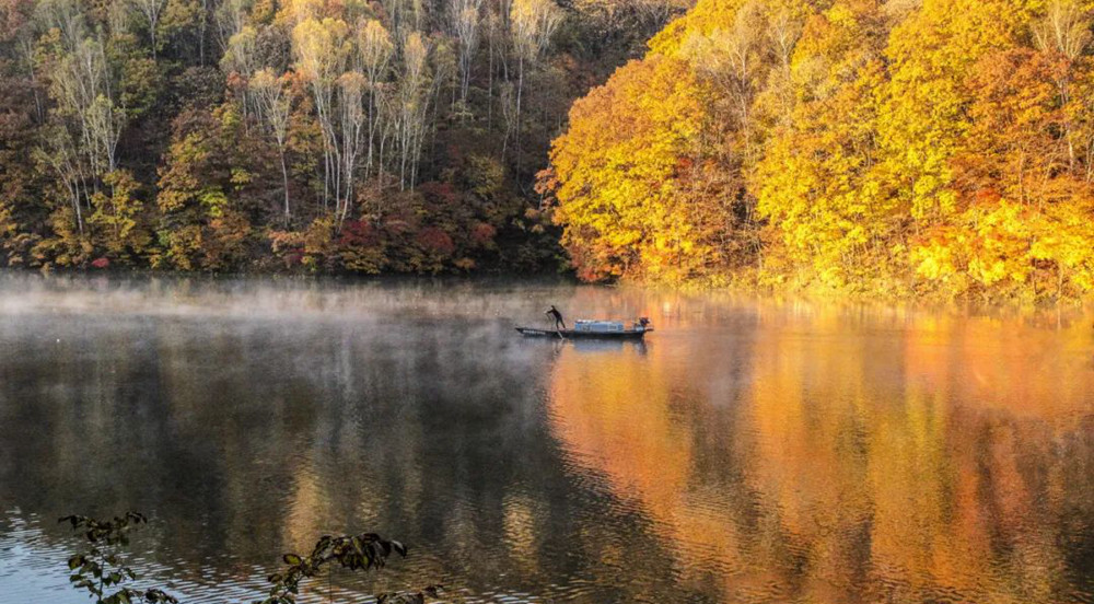 金山銀山,魅力白山