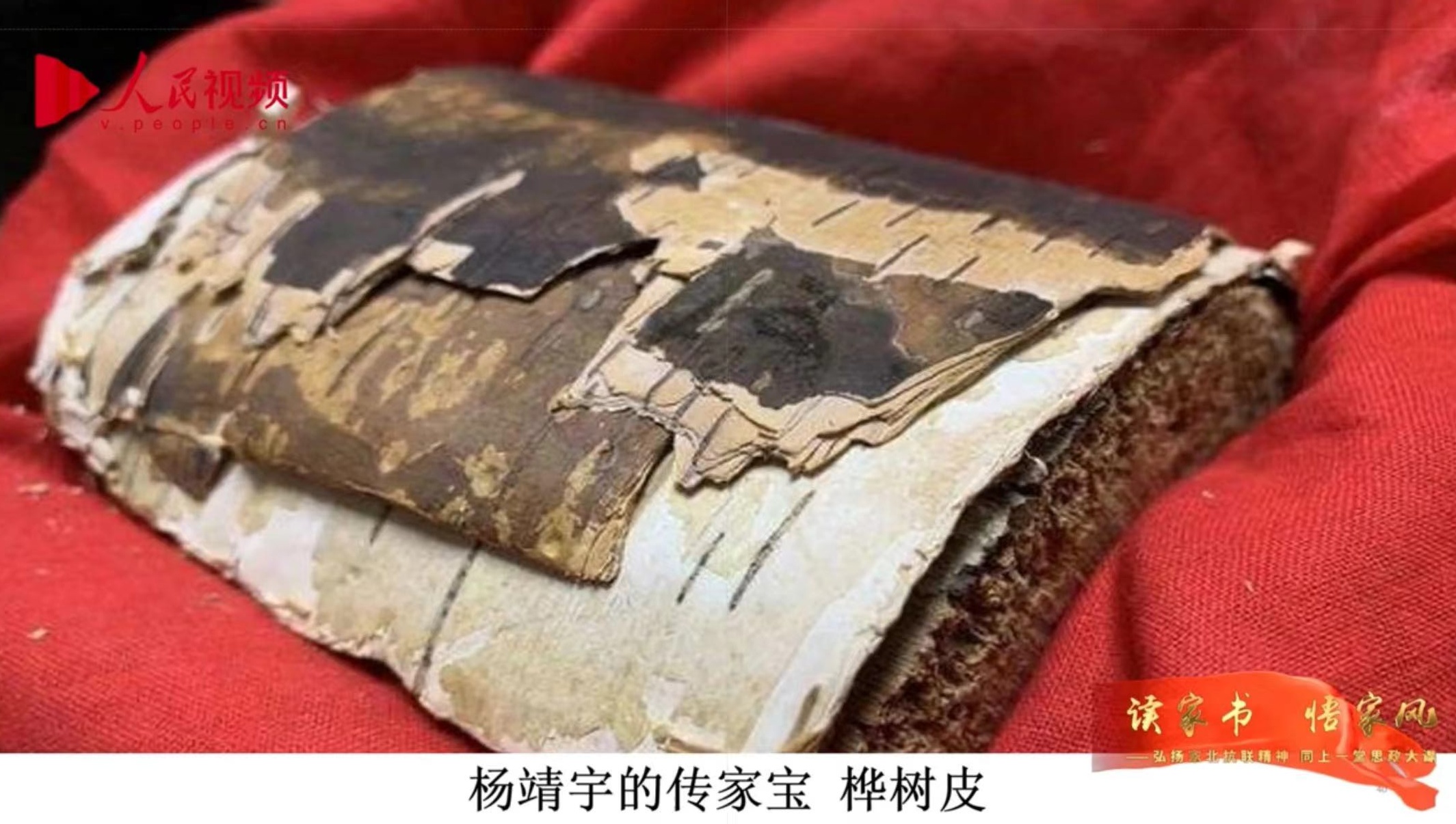 直播課程截圖。