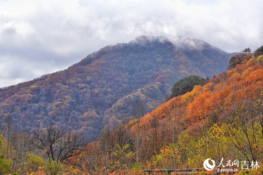 秋日的五女峰宛如一幅多彩的山水圖。人民網記者 李洋攝
