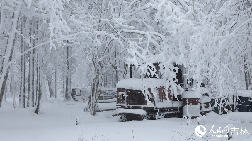 隨著一場大雪降臨，老里克湖松林被潔白的雪凇裝點得如詩如畫。人民網(wǎng)記者 李洋攝